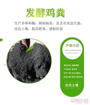 綠色革命 生物有機(jī)肥助力大棚蔬菜與果樹健康生長